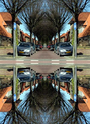 treesymmetry