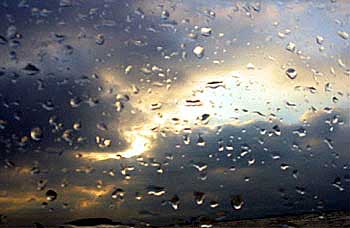 stormfront